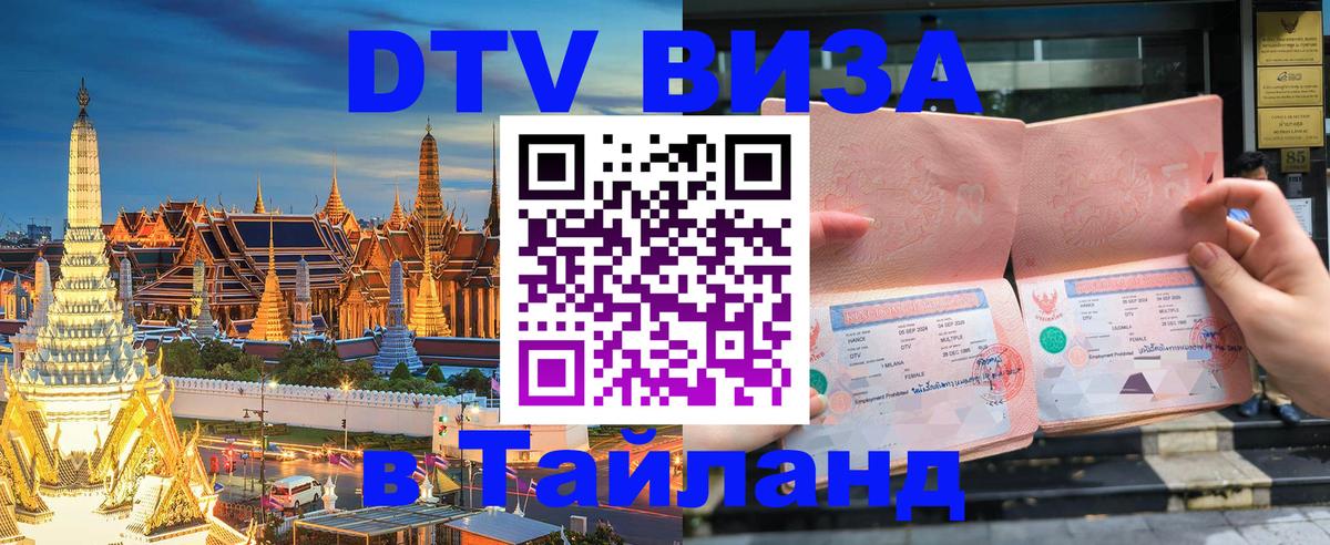 Оформление DTV визы под ключ: стоимость и тарифы, только загранпаспорт - 20.11.2025 